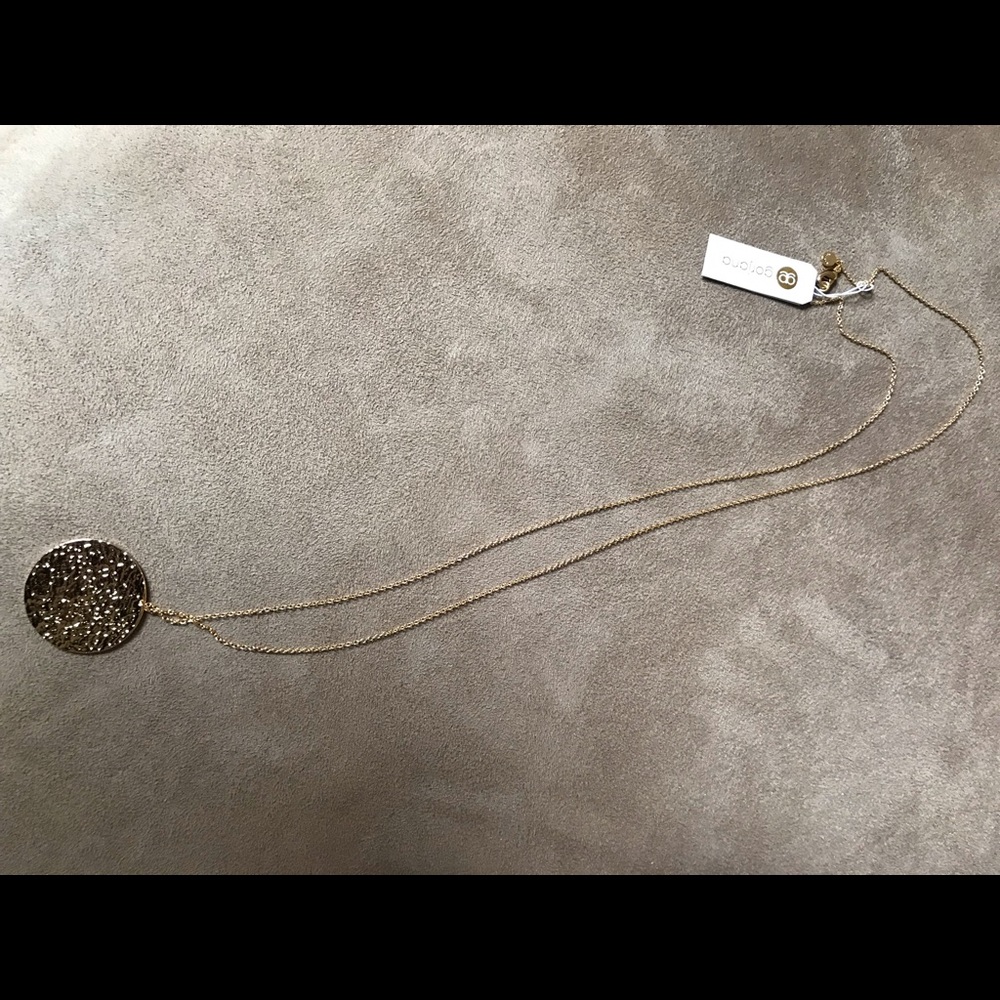 Gorjana disc necklace.
